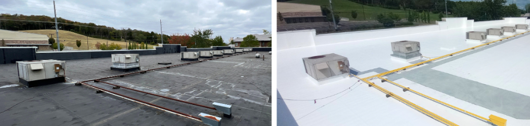 Featured image for “Why You Should Work with an Expert”