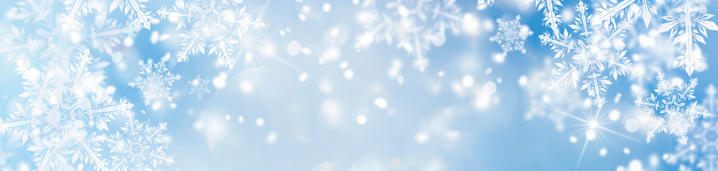 Featured image for “What Roofing Systems Perform Best After Harsh Winters?”