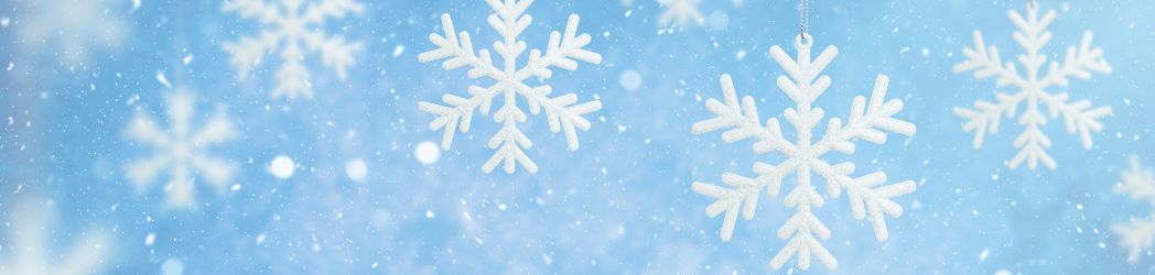 Featured image for “What Damage Did Winter Do to My Commercial Roof?”