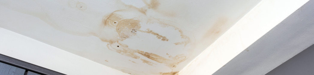 Featured image for “Can Small Leaks Cause Major Building Damage?”
